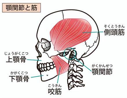 仙台 顎関節症 整体院
